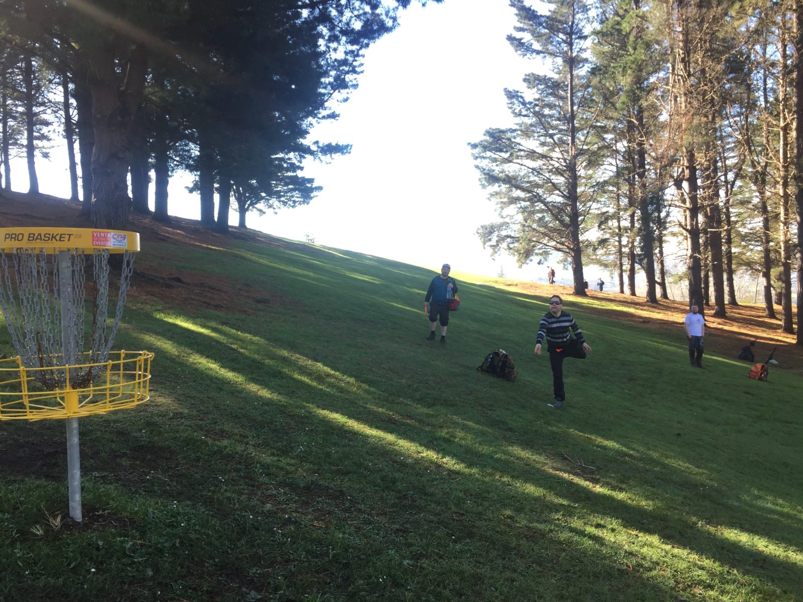 Discgolf / Frisbeegolf Foto: ESBJÖRN KJELL